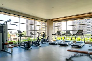 Gymnasium 